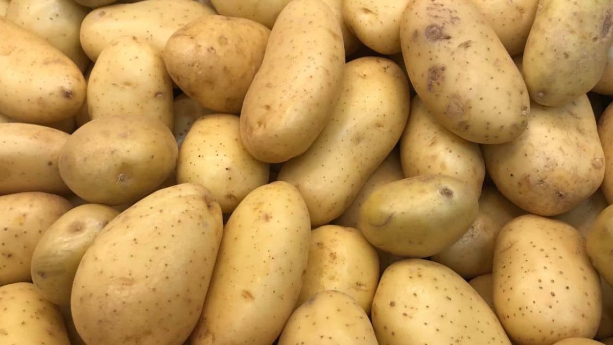 Los 10 beneficios de La Papa que desconocías…